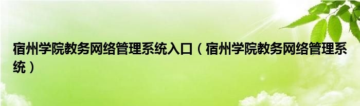 宿州学院教务网络管理系统入口（宿州学院教务网络管理系统）