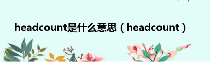 headcount是什么意思（headcount）