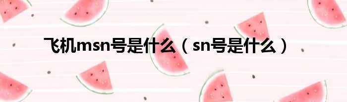 飞机msn号是什么（sn号是什么）