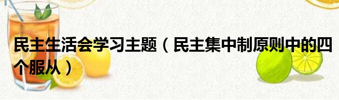 民主生活会学习主题（民主集中制原则中的四个服从）