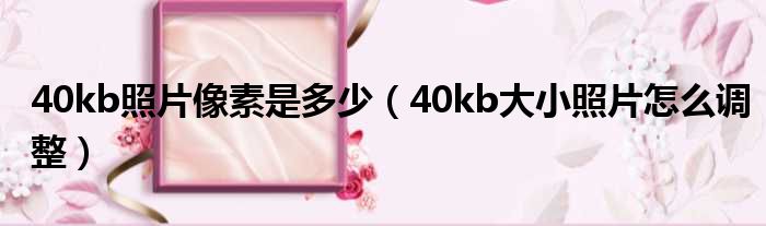 40kb照片像素是多少（40kb大小照片怎么调整）