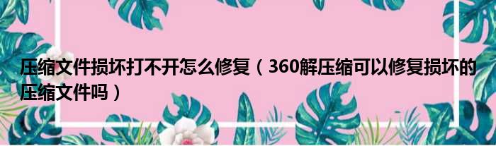 压缩文件损坏打不开怎么修复（360解压缩可以修复损坏的压缩文件吗）