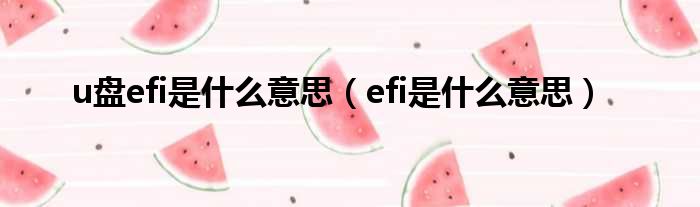 u盘efi是什么意思（efi是什么意思）