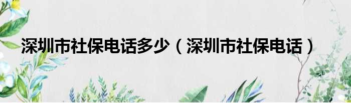 深圳市社保电话多少（深圳市社保电话）