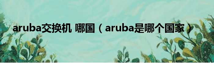 aruba交换机 哪国（aruba是哪个国家）