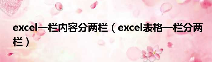 excel一栏内容分两栏（excel表格一栏分两栏）