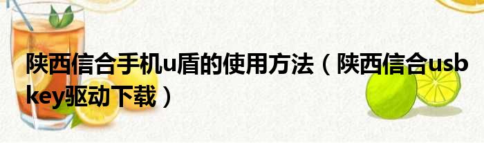 陕西信合手机u盾的使用方法（陕西信合usbkey驱动下载）