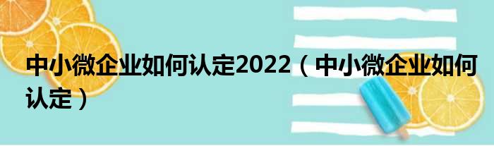 中小微企业如何认定2022（中小微企业如何认定）