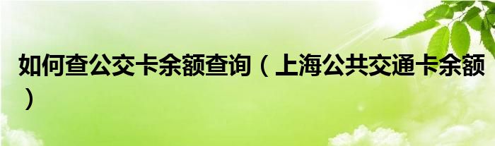 如何查公交卡余额查询（上海公共交通卡余额）