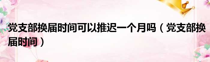 党支部换届时间可以推迟一个月吗（党支部换届时间）