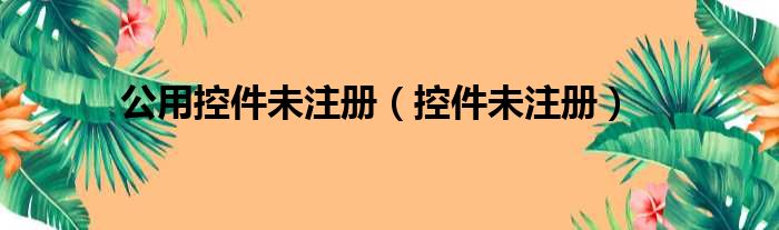 公用控件未注册（控件未注册）