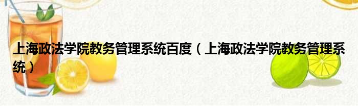 上海政法学院教务管理系统百度（上海政法学院教务管理系统）