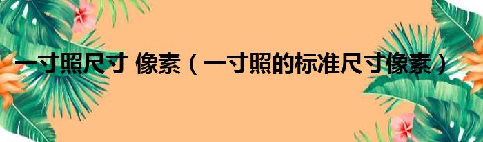 一寸照尺寸 像素（一寸照的标准尺寸像素）