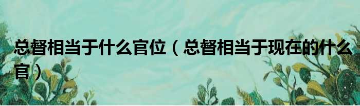 总督相当于什么官位（总督相当于现在的什么官）