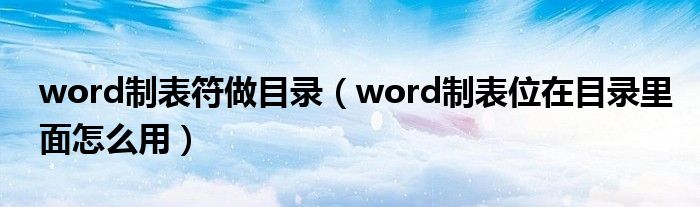 word制表符做目录（word制表位在目录里面怎么用）