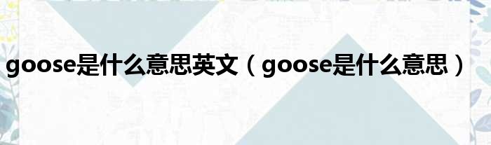 goose是什么意思英文（goose是什么意思）