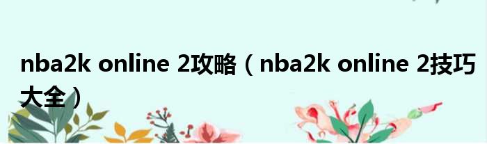 nba2k online 2攻略（nba2k online 2技巧大全）