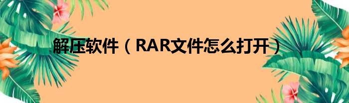 解压软件（RAR文件怎么打开）