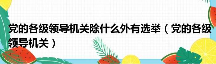 党的各级领导机关除什么外有选举（党的各级领导机关）