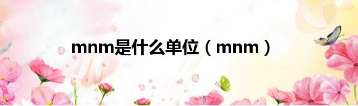 mnm是什么单位（mnm）