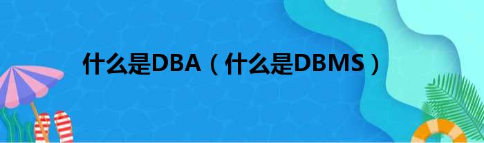 什么是DBA（什么是DBMS）