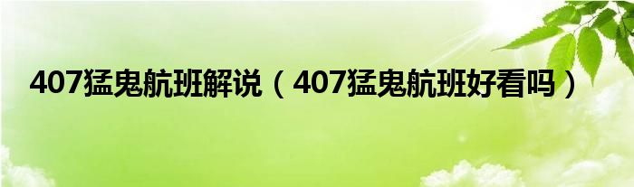 407猛鬼航班解说（407猛鬼航班好看吗）