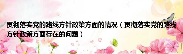 贯彻落实党的路线方针政策方面的情况（贯彻落实党的路线方针政策方面存在的问题）