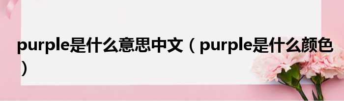 purple是什么意思中文（purple是什么颜色）