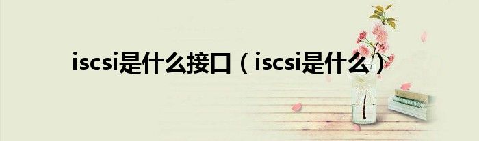 iscsi是什么接口（iscsi是什么）