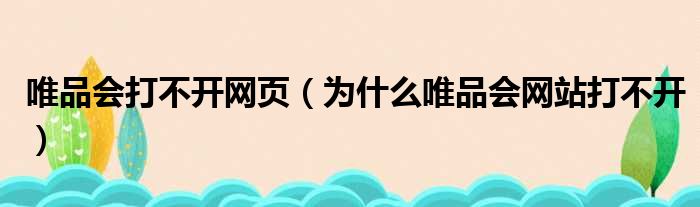 唯品会打不开网页（为什么唯品会网站打不开）