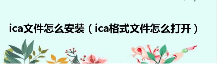 ica文件怎么安装（ica格式文件怎么打开）