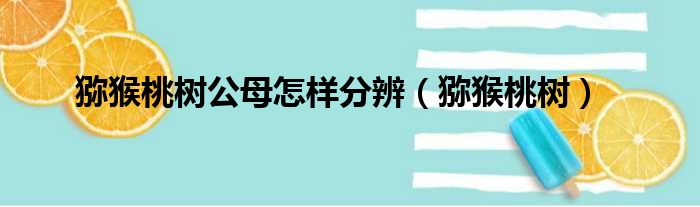 猕猴桃树公母怎样分辨（猕猴桃树）