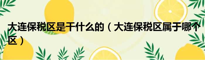 大连保税区是干什么的（大连保税区属于哪个区）