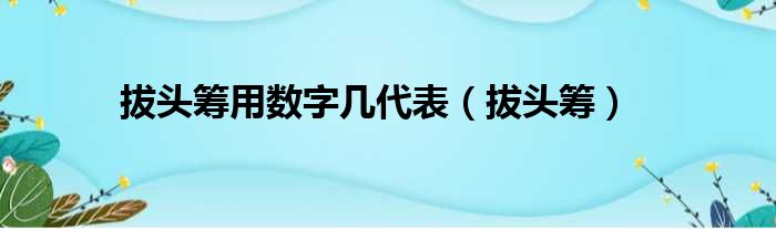 拔头筹用数字几代表（拔头筹）