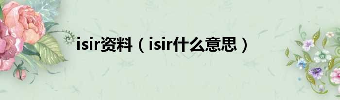 isir资料（isir什么意思）