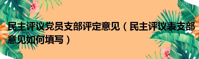 民主评议党员支部评定意见（民主评议表支部意见如何填写）