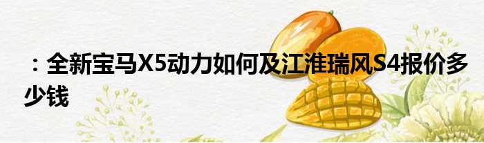 ：全新宝马X5动力如何及江淮瑞风S4报价多少钱