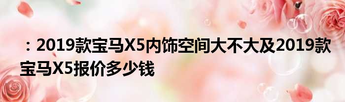 ：2019款宝马X5内饰空间大不大及2019款宝马X5报价多少钱