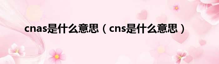 cnas是什么意思（cns是什么意思）