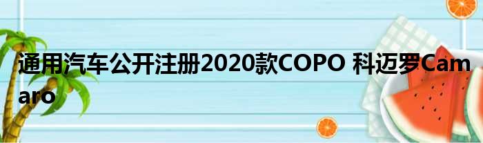 通用汽车公开注册2020款COPO 科迈罗Camaro