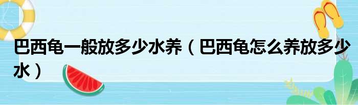 巴西龟一般放多少水养（巴西龟怎么养放多少水）