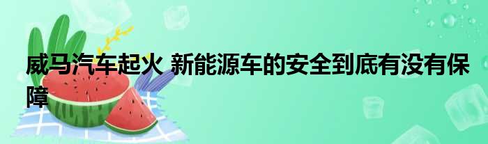 威马汽车起火 新能源车的安全到底有没有保障