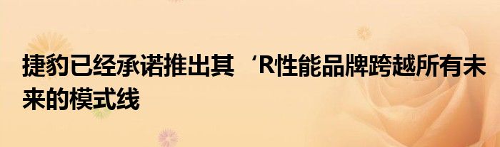 捷豹已经承诺推出其‘R性能品牌跨越所有未来的模式线