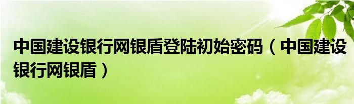 中国建设银行网银盾登陆初始密码（中国建设银行网银盾）