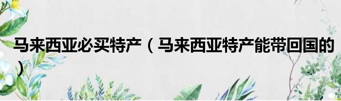 马来西亚必买特产（马来西亚特产能带回国的）