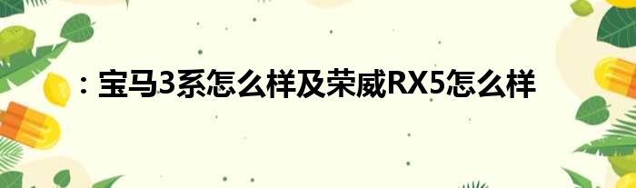 ：宝马3系怎么样及荣威RX5怎么样