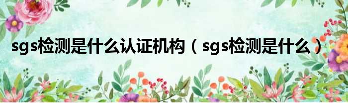 sgs检测是什么认证机构（sgs检测是什么）