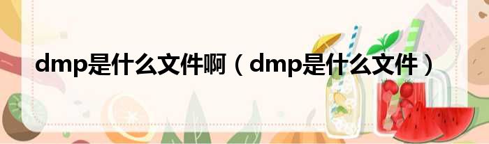 dmp是什么文件啊（dmp是什么文件）