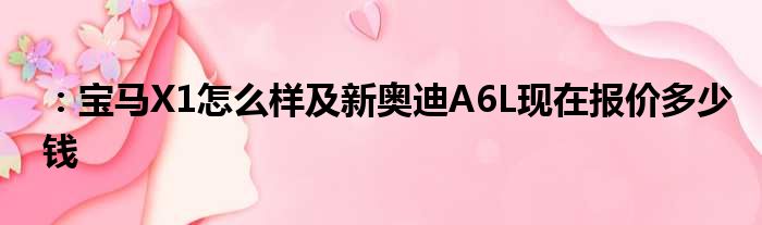 ：宝马X1怎么样及新奥迪A6L现在报价多少钱