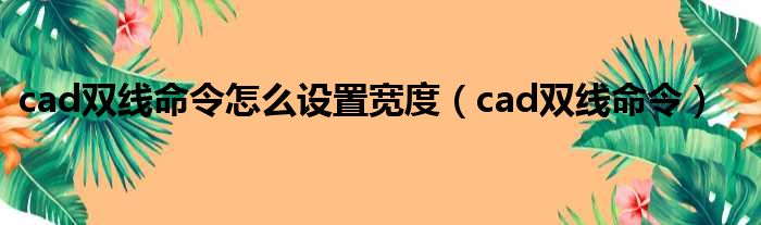 cad双线命令怎么设置宽度（cad双线命令）